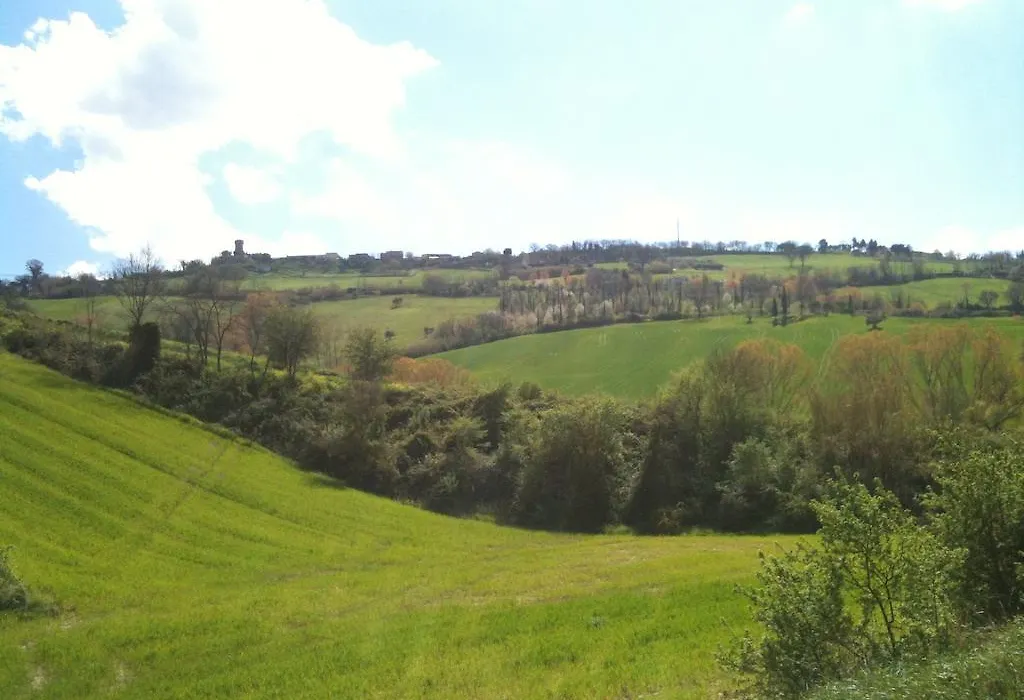 Agriturismo Casale il Gallo Bianco-1